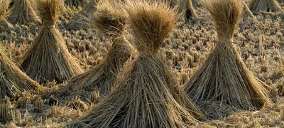 Bundled hiring to double the effectiveness of your hiring process