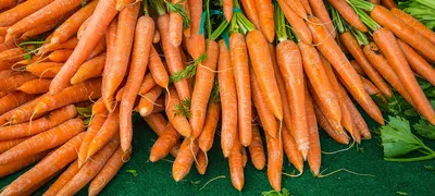 Reliability is all stick, no carrot