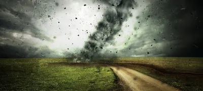 Make changes that people will embrace