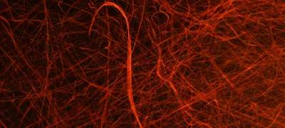 Why is engineering slowing down? How leaders can create happy teams and good results in chaos