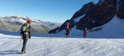 How an executive advisor can help you grow faster and navigate unfamiliar terrain