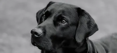 Your team may need a Hero Rotation