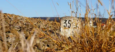 Great engineering teams focus on milestones instead of projects