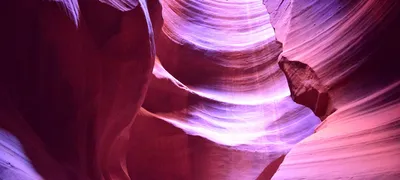 Organizational work and the second job