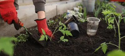 How to implement Mini-M support groups