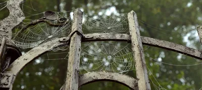 Why are process gates the hellish spawn of evil you should avoid at all cost?