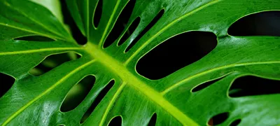 Product management resources