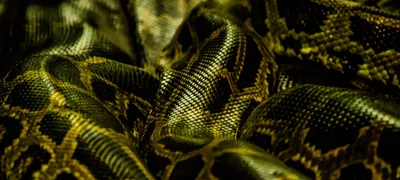 The secret to holding a candidate review meeting that isn't boring as hell