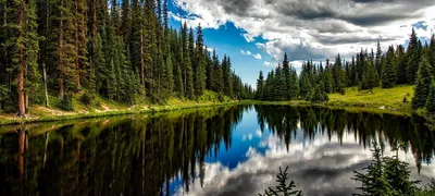 Reflecting power - using power you don't have