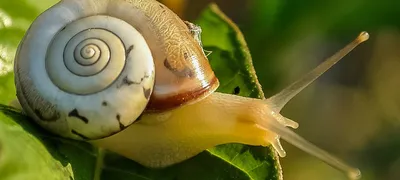 Make your team miserable with one of these popular project-management anti-patterns