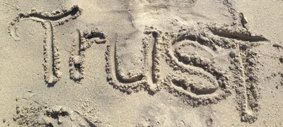 High trust and low trust organizations