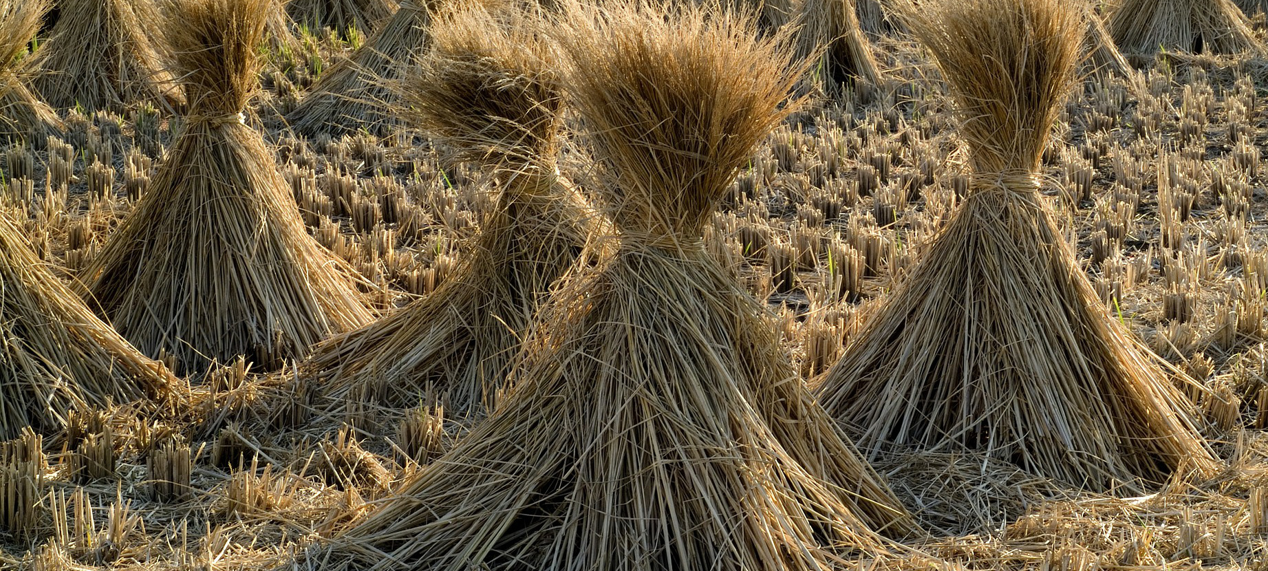 Bundled hiring to double the effectiveness of your hiring process