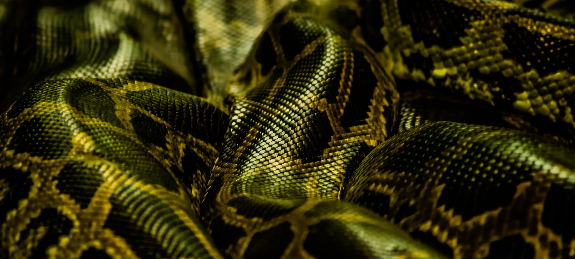 The secret to holding a candidate review meeting that isn't boring as hell