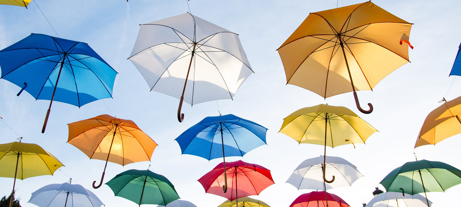 Your process should be open source