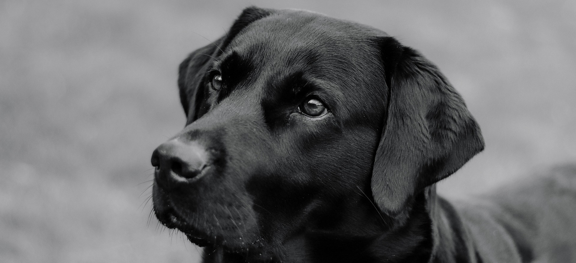 Your team may need a Hero Rotation