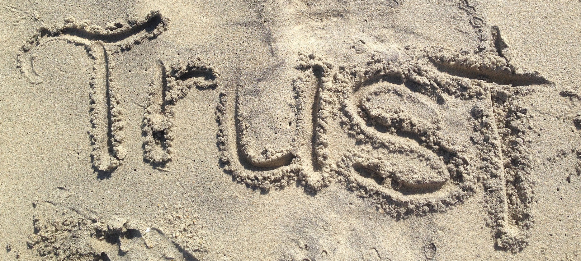 High trust and low trust organizations