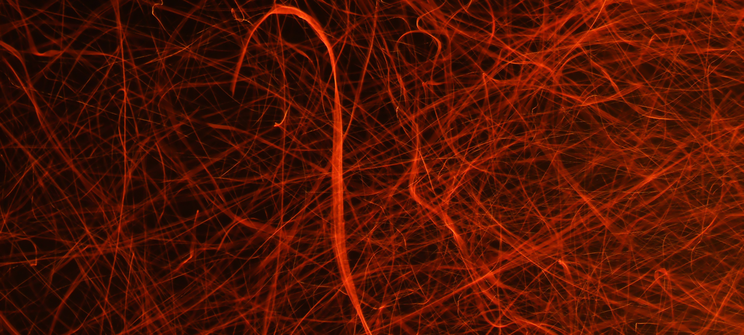 Why is engineering slowing down? How leaders can create happy teams and good results in chaos