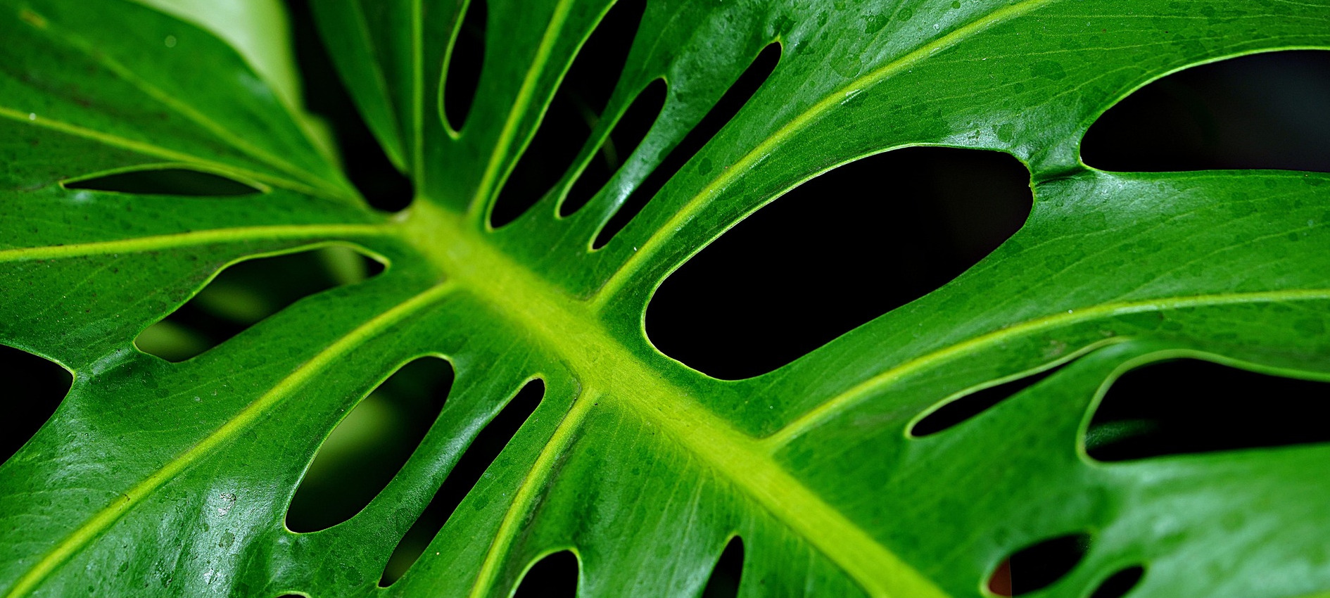 Product management resources